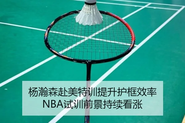 杨瀚森赴美特训提升护框效率 NBA试训前景持续看涨 | kaiyun